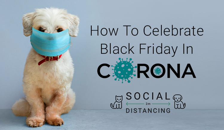 Black Friday Pet Deals