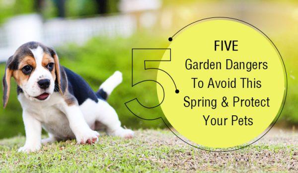 Five Garden dangers for Pets