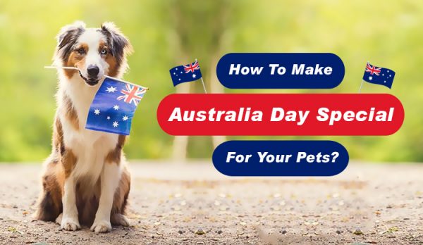 Australia Special Day For Your Pets