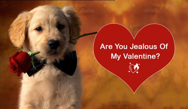 Valentine With pet