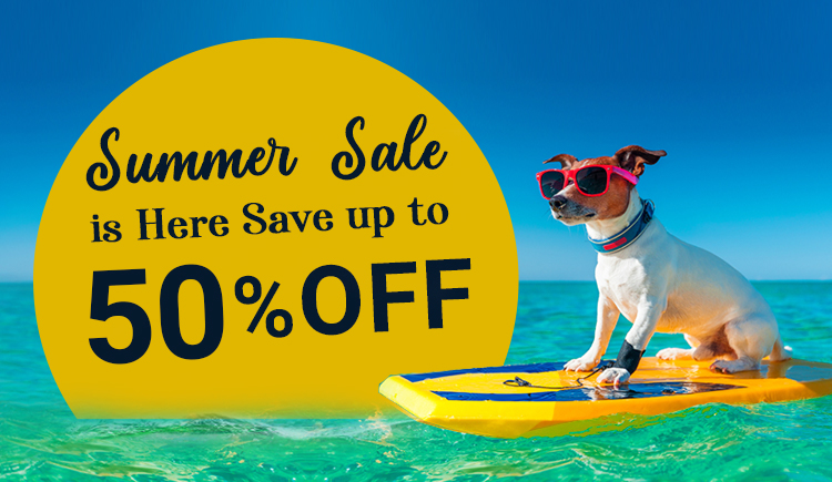 Summer Sale on Pet Supplies