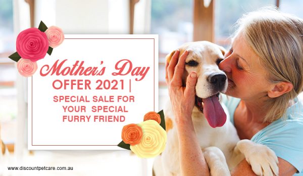 Mother’s Day Offer 2021 | Special sale for your special furry friend