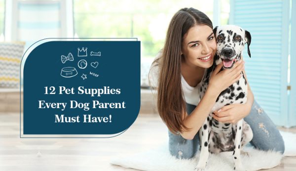 12 Pet Supplies Every Dog Parent Must Have!