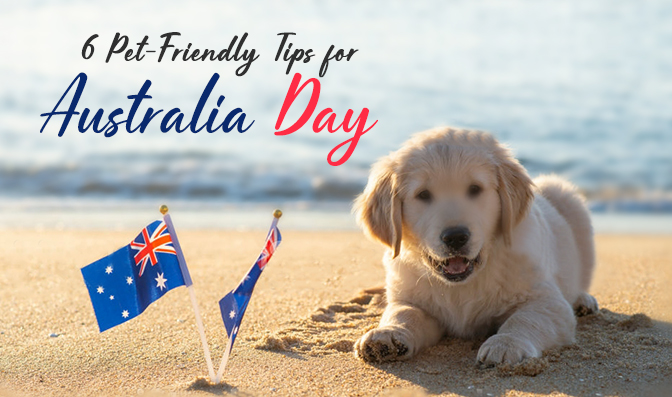 6 Pet-Friendly Tips For Australia Day