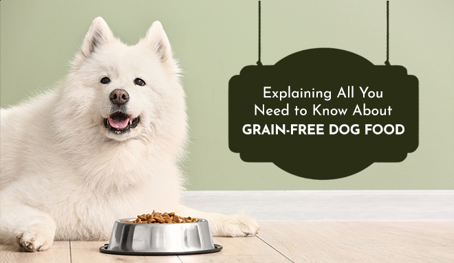Explaining All You Need to Know About Grain-Free Dog Food