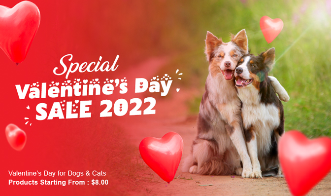 Special Valentine’s Day Sale 2022