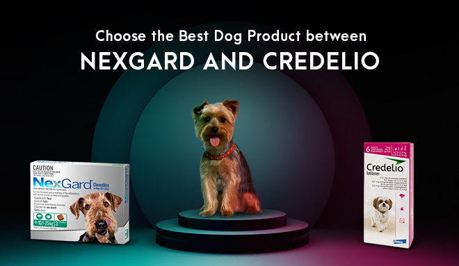 Choose the Best Dog Product between Nexgard and Credelio