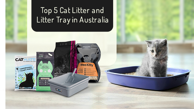 Top 5 Cat Litter and Litter Tray in Australia