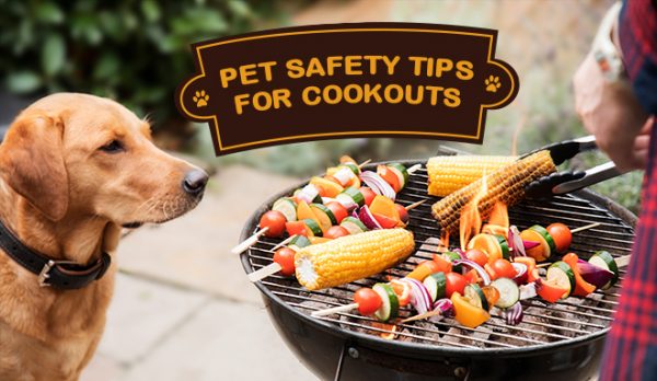 Pet Safety Tips for Cookouts