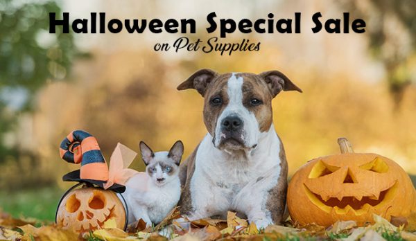 Halloween Special Sale on Pet Supplies