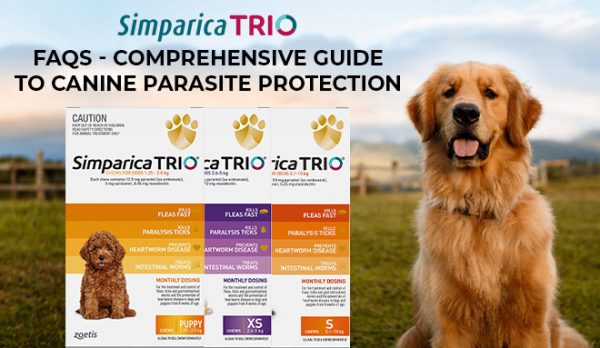 Simparica Trio FAQs - Comprehensive Guide to Canine Parasite Protection