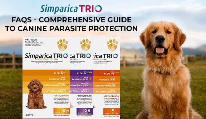 simparica-trio-faqs-comprehensive-guide-to-canine-parasite-protection