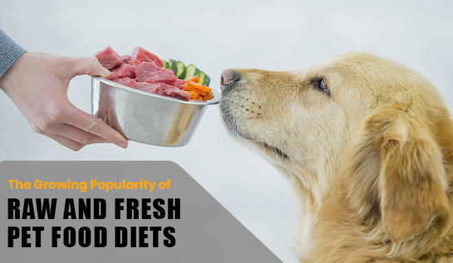 The Growing Popularity of Raw and Fresh Pet Food Diets
