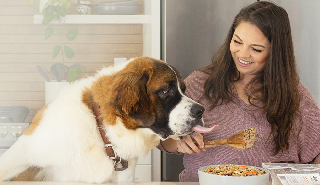 : A pet parent thinking about what raw food should they include in their pet’s nutritional plan.