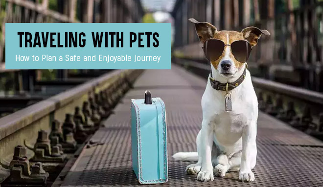 Traveling with Pets: How to Plan a Safe and Enjoyable Journey