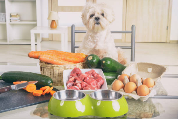 Homemade Pet Food