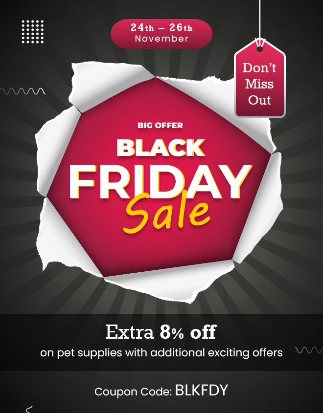 Black Friday Sale