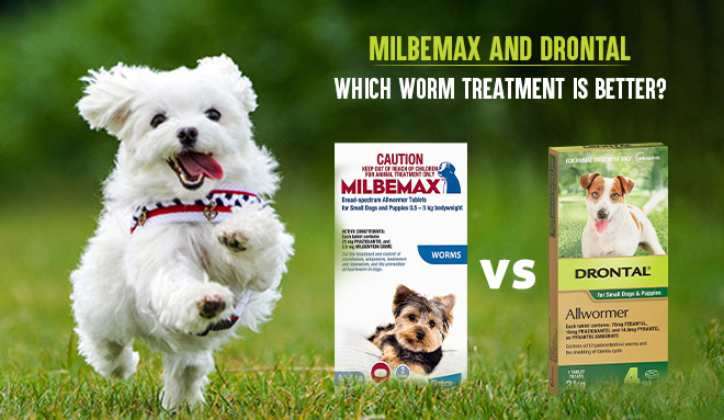 Milbemax and Drontal