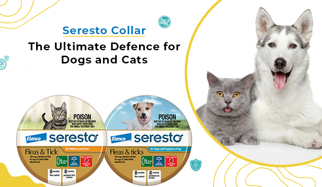Seresto Collar - The Ultimate Defence for Dogs and Cats