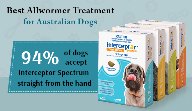 Interceptor Spectrum: Allwormer Treatment for Australian Dogs
