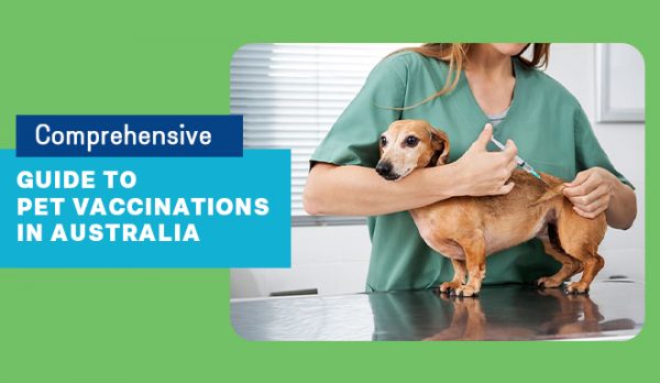 Comprehensive Guide to Pet Vaccinations in Australia
