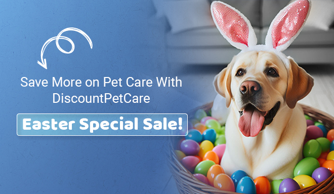 Save More on Pet Care With Our Easter Special Sale!