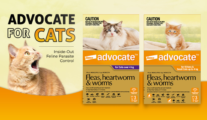 Advocate for Cats: Inside-Out Feline Parasite Control Treatment