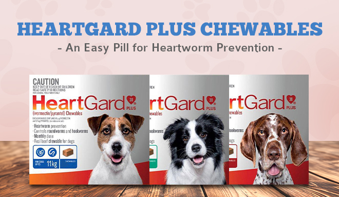Heartgard Plus Chewables: An Easy Pill for Heartworm Prevention