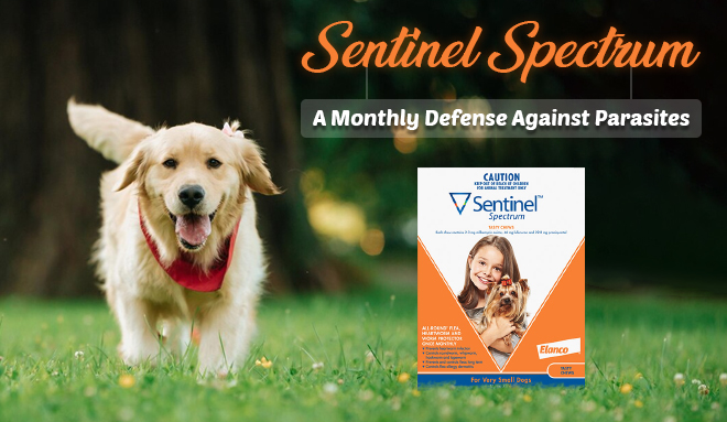 Sentinel Spectrum: A Monthly Defense Against Parasites