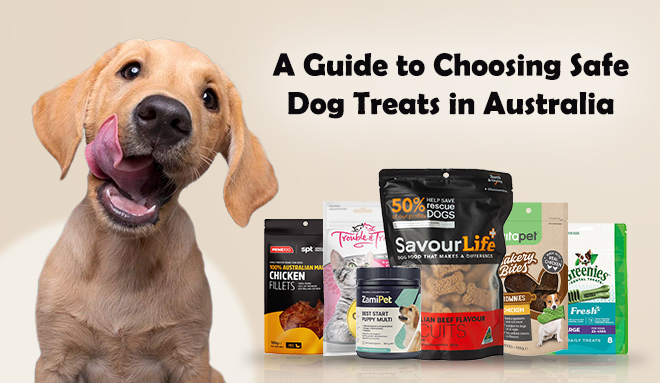 A Guide to Choosing Safe Dog Treats in Australia