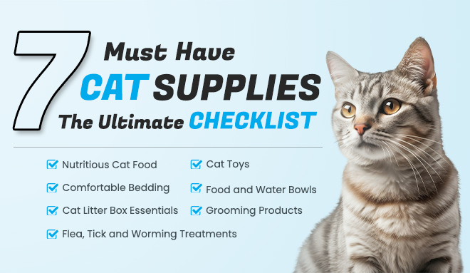 7 Must-Have Cat Supplies – The Ultimate Checklist
