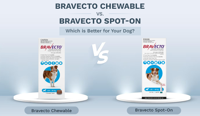 Bravecto Chewable vs.Bravecto Spot-On