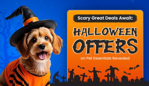 Halloween Sale