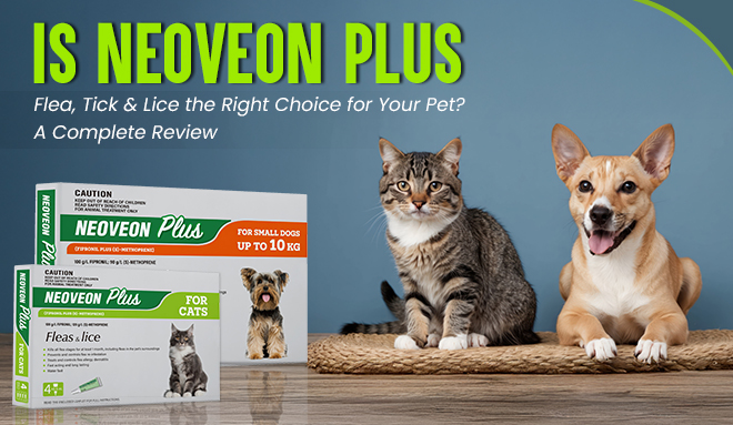 Is Neoveon Plus Flea, Tick & Lice the Right Choice for Your Pet? A Complete Review
