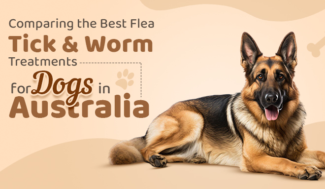 Comparing the Best Flea, Tick & Worm Treatments for Dogs in Australia