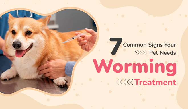 Common Signs Your Pet Needs Worming Treatment
