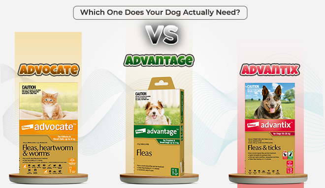 Advocate vs. Advantage vs. Advantix – Which One Does Your Dog Actually Need?