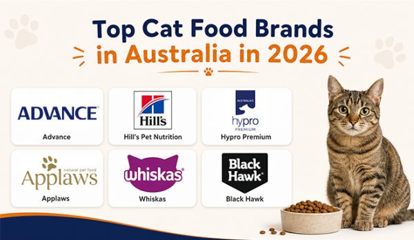 Top Cat Food Brands in Australia in 2026
