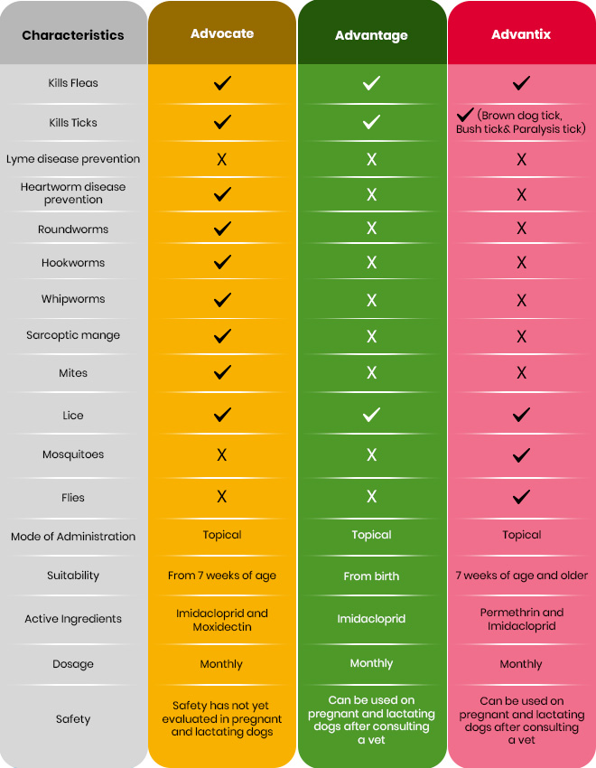 Advocate vs. Advantage vs. Advantix – Which One Does Your Dog Actually Need? 