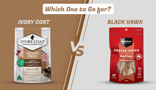 Black Hawk vs. Ivory Coat – Which One to Go for?
