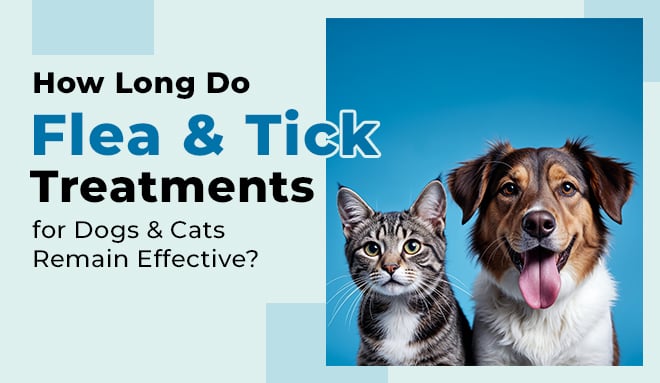 How Long Do Flea & Tick Treatments for Dogs & Cats Remain Effective?