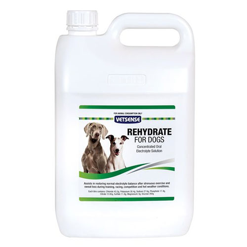Vetsense Rehydrate for Dogs
