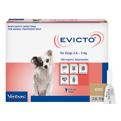 Evicto FOR VERY SMALL DOGS 2.6-5KG (BROWN)