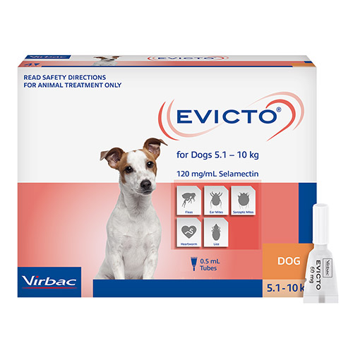 Evicto FOR SMALL DOGS 5-10KG (ORANGE)