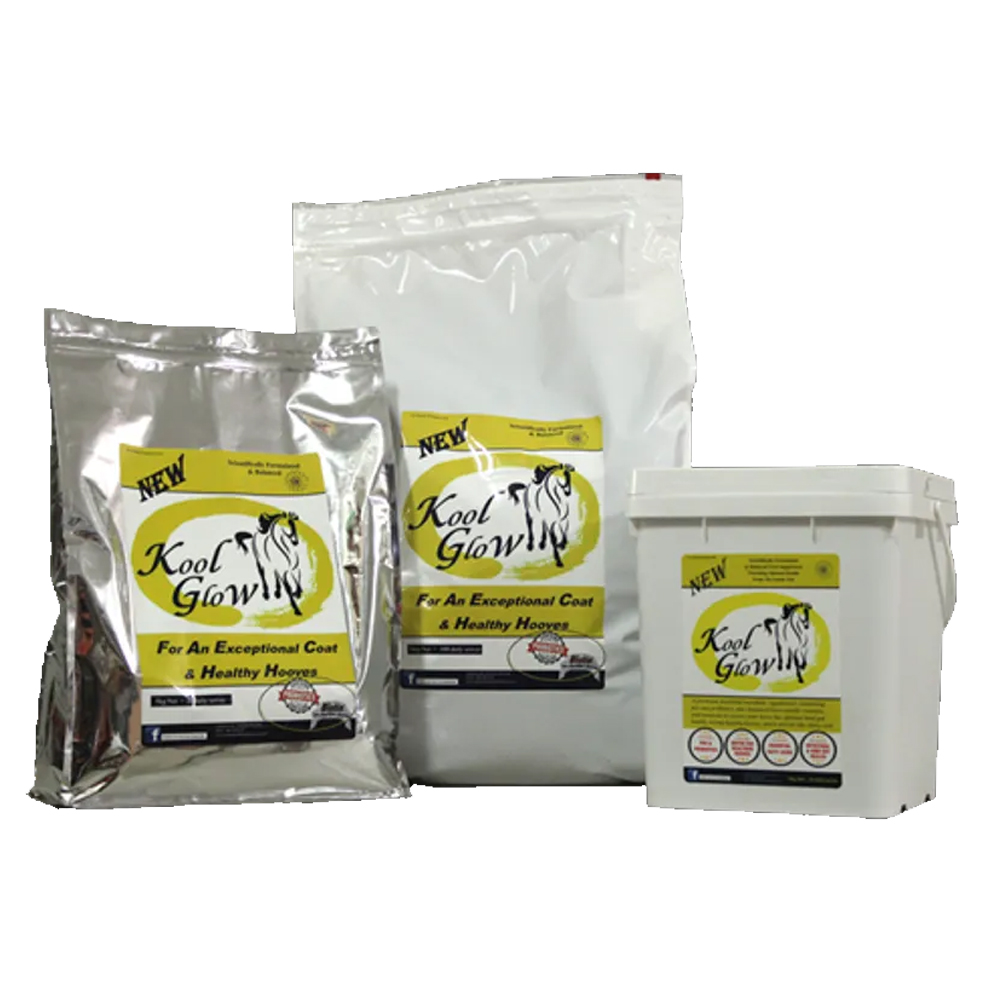 Kool Glow for horses for Horse