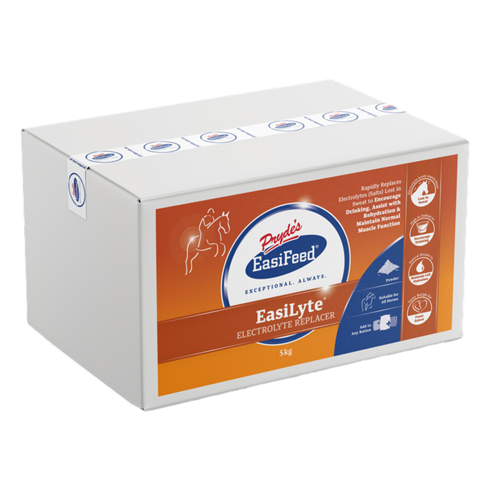 Pryde's EasiFeed Easilyte Horse Electrolyte Replacer for Horse