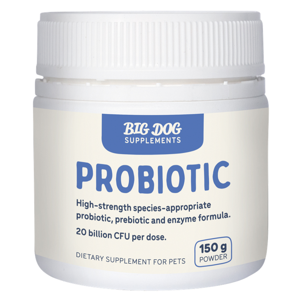Big Dog Probiotics for Dogs for Dogs