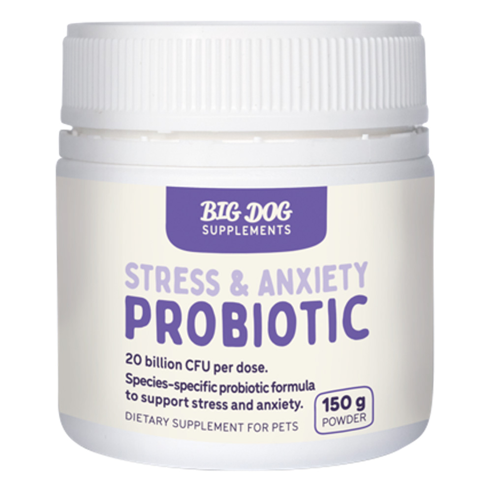 Big Dog Stress & Anxiety Probiotic for Dogs