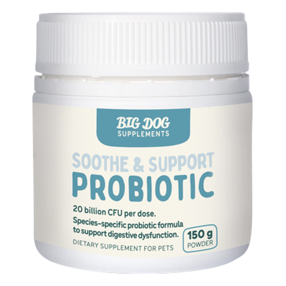 Big Dog Soothe & Support Probiotic for Dogs