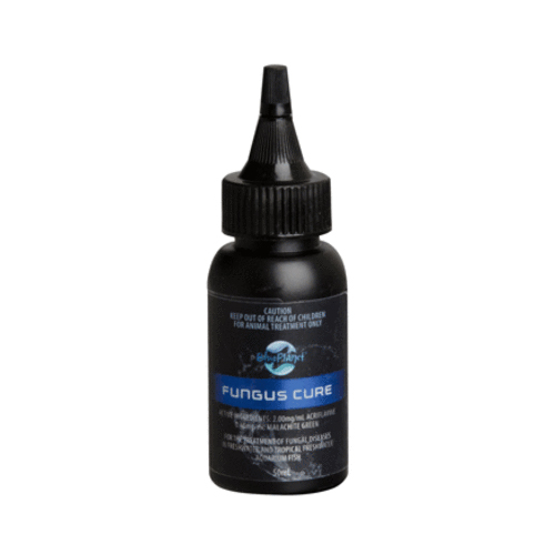Blue Planet Fungus Cure for Fish Supplies